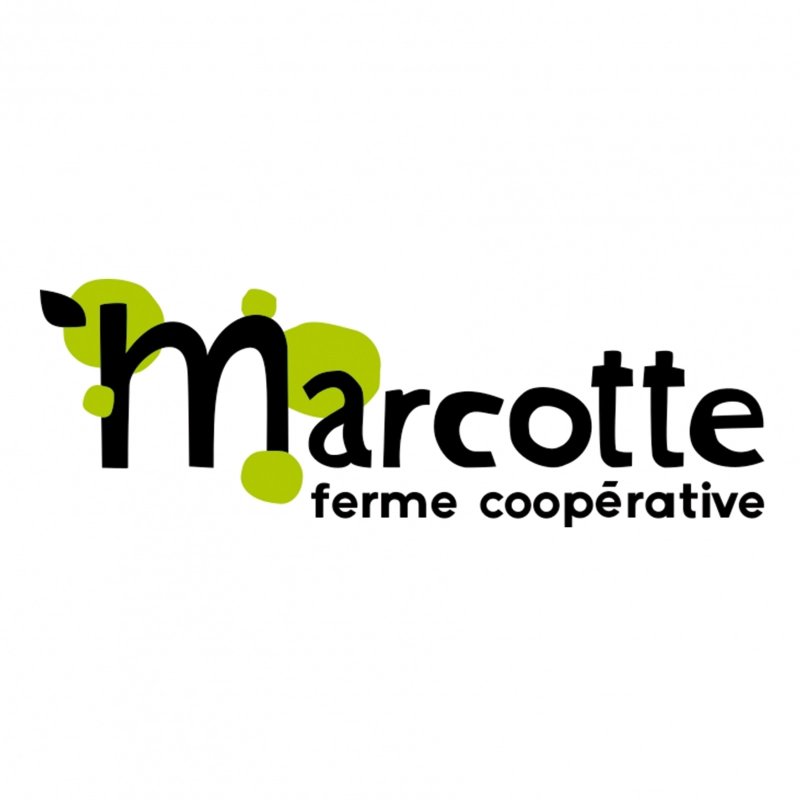 Logo de l'entreprise normande : Marcotte