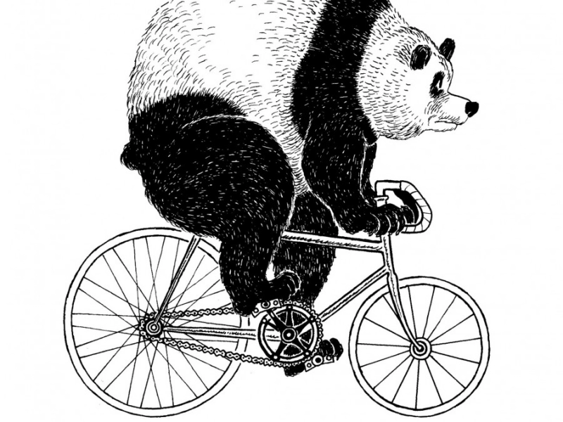 Transporteur urbain à vélo