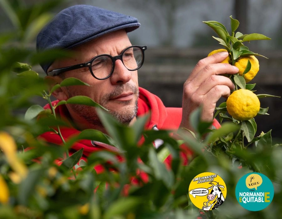 Qui a dit que les agrumes ne poussaient pas en Normandie ? 