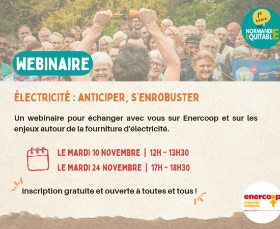 Électricité  : anticiper, s'enrobuster