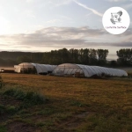 La ferme La Petite Surface 