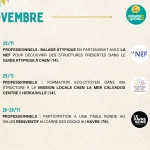 Nos actualités en Novembre III Nos actualités en Novembre III