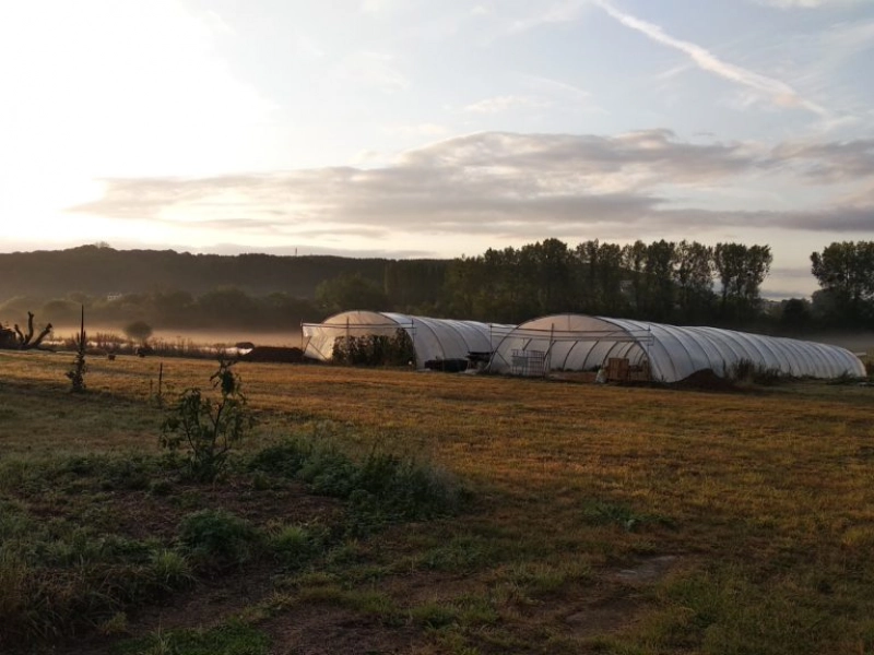 La ferme de La Petite Surface