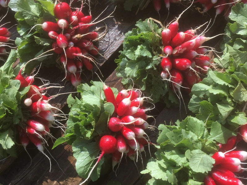 Des variétés sélectionnées pour leur goût 