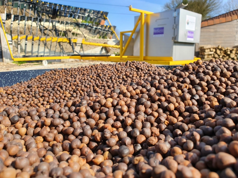 Fournées de poids chiche torréfiées façon café Fournées de poids chiche torréfiées façon café