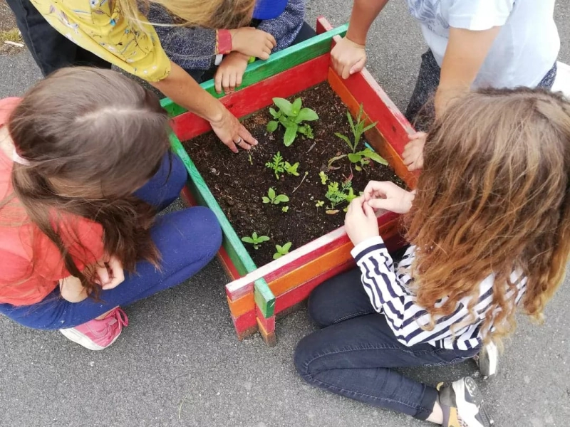 mise en place de potagers en agroécologie et éducation alimentaire.