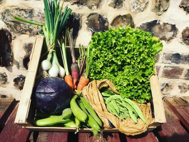 Des légumes frais et savoureux toute l'année