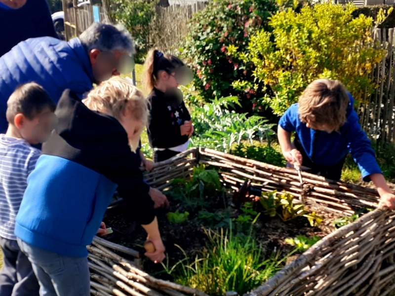 Jardin écologique à vivre et à manger 