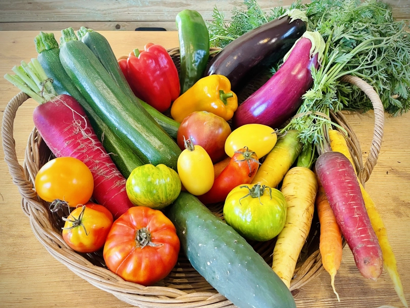 Fruits et légumes bio de saison