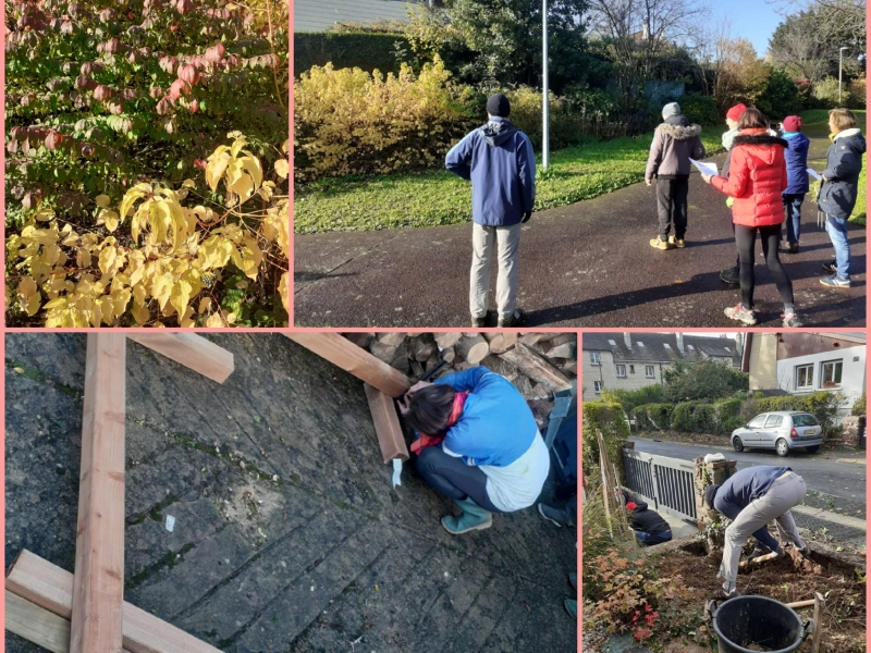 Jardin écologique à vivre et à manger 